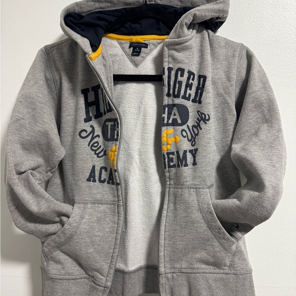 Kids Tommy Hilfiger Gray Hoodie - Picture 2 of 8